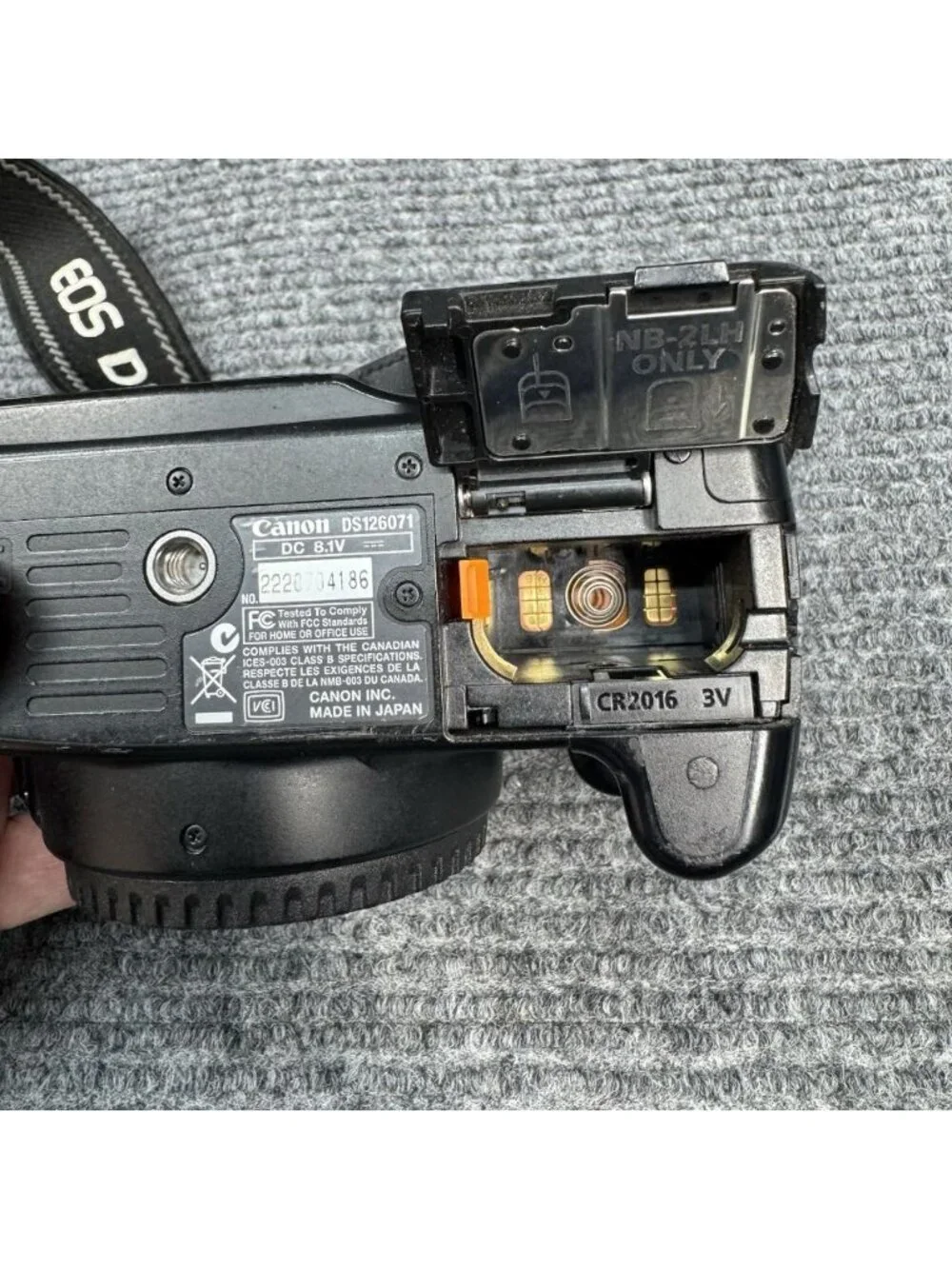 Canon eos rebel